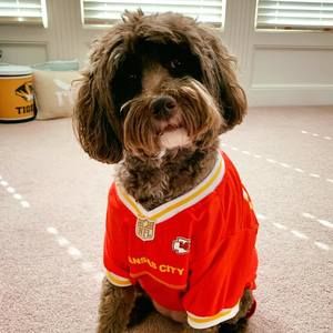 Meet your Posher, Holly